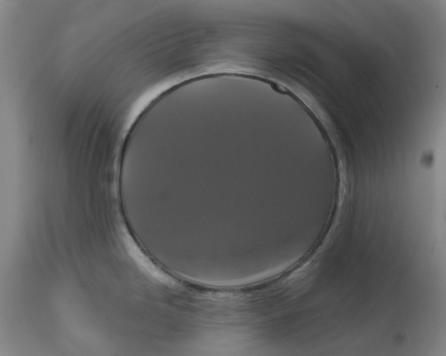 X0000114721246200911121726