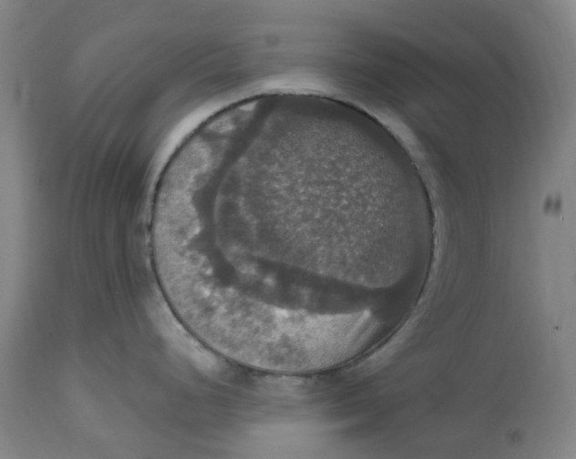 X0000114721248200911121726