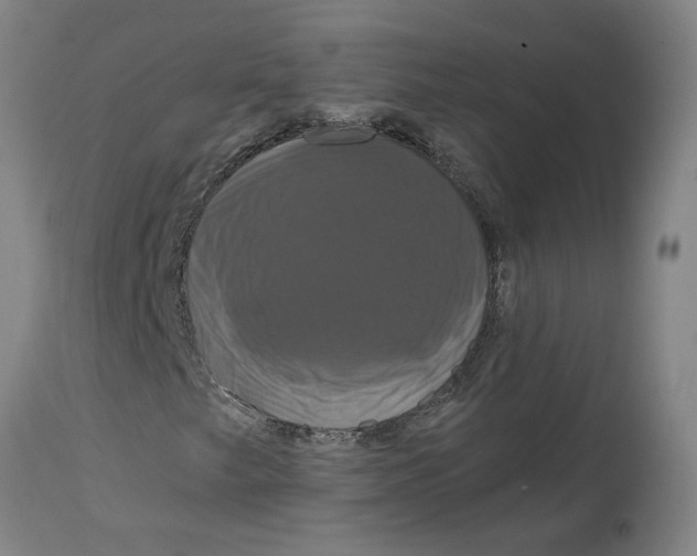 X0000114721249200911121725