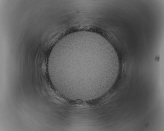 X0000114721250200911121725