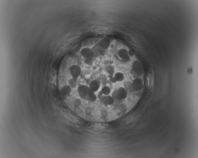 X0000114721251200911121725