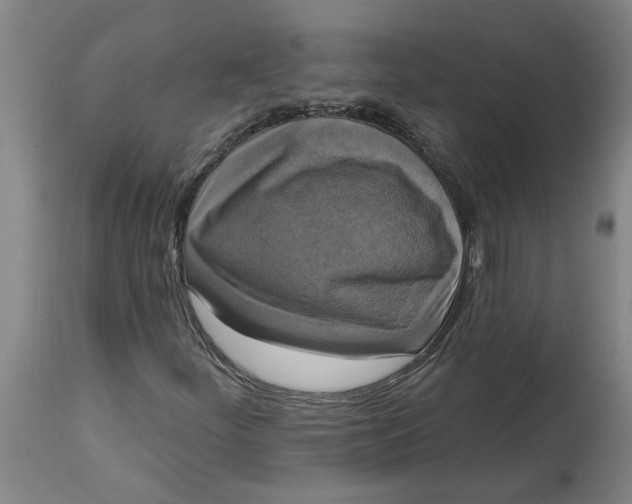 X0000114721252200911121725