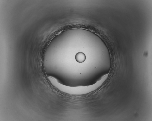 X0000114721253200911121725