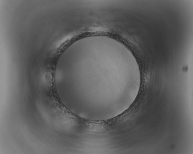 X0000114721254200911121725