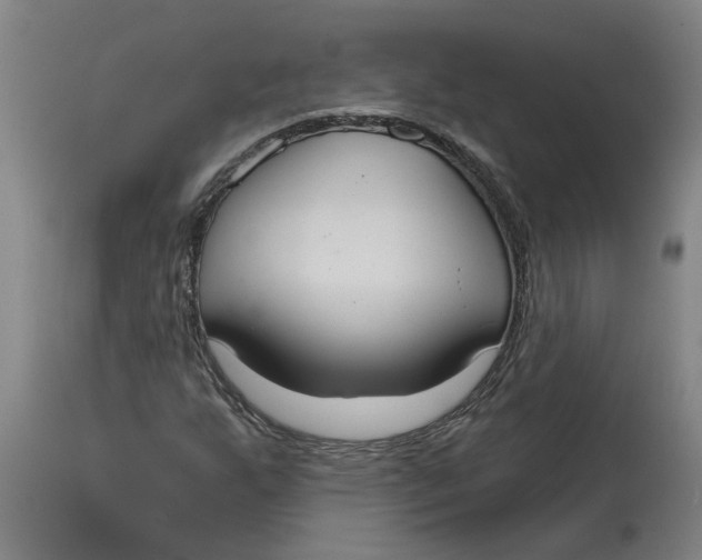 X0000114721255200911121725