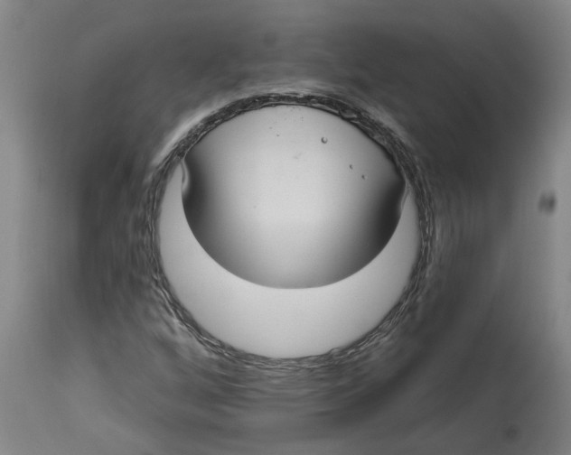 X0000114721256200911121725