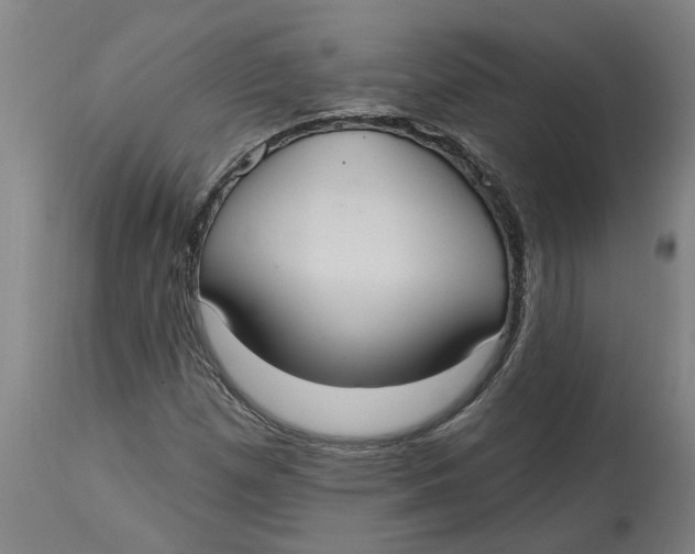 X0000114721257200911121725