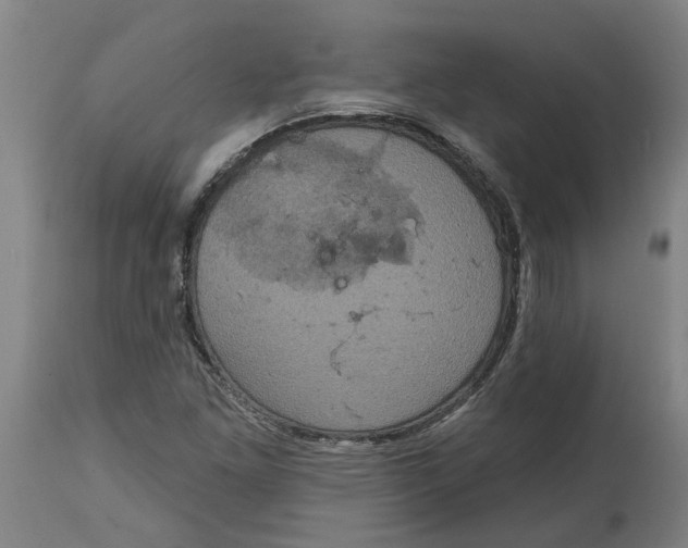 X0000114721261200911121725