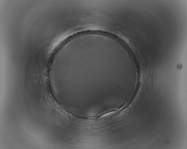 X0000114721263200911121725