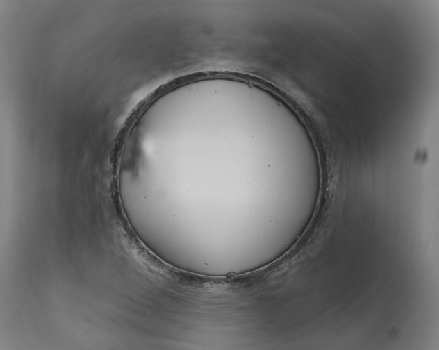 X0000114721264200911121725