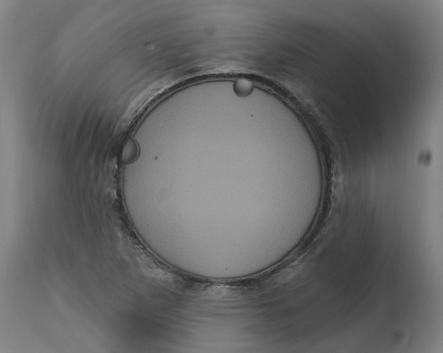 X0000114721265200911121725