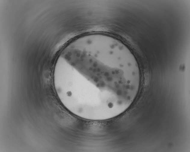 X0000114721266200911121725