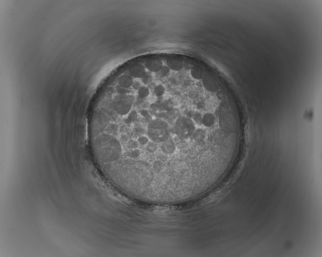 X0000114721267200911121725