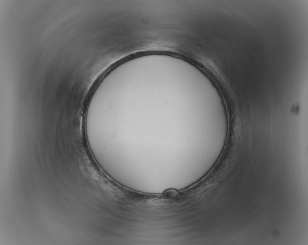 X0000114721268200911121725