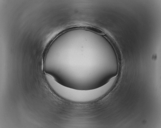 X0000114721269200911121725