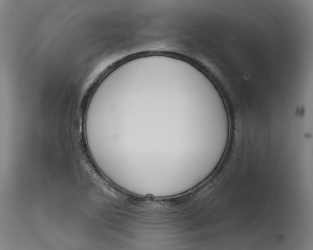 X0000114721270200911121725