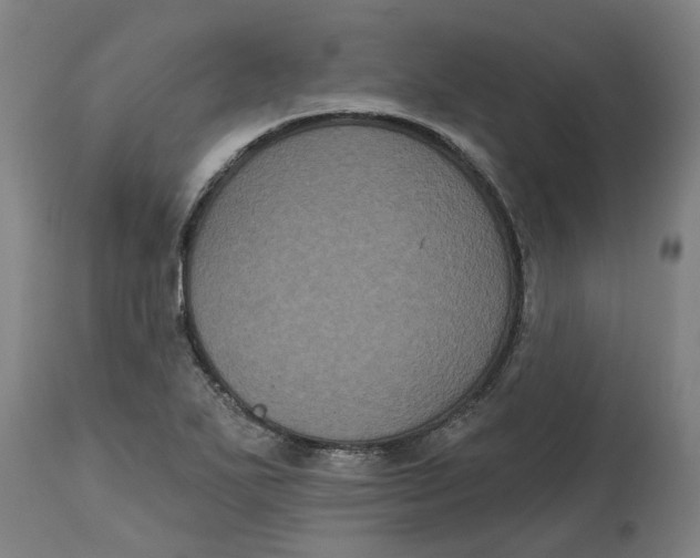 X0000114721271200911121725