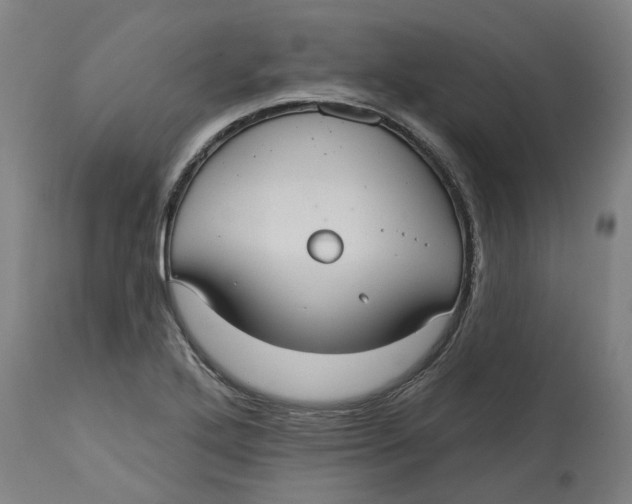 X0000114721272200911121725