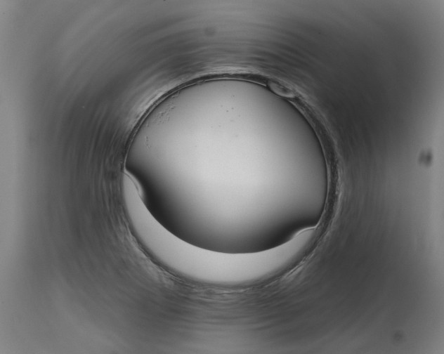 X0000114721273200911121725