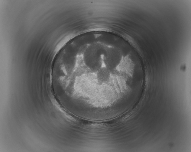 X0000114721274200911121725