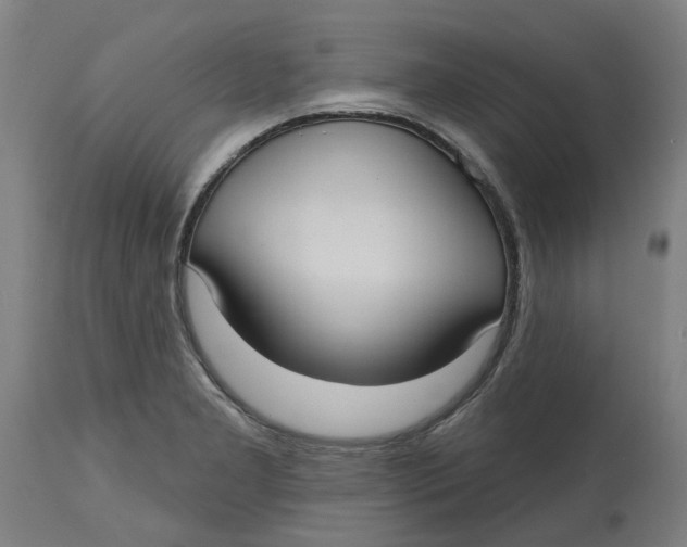 X0000114721277200911121725