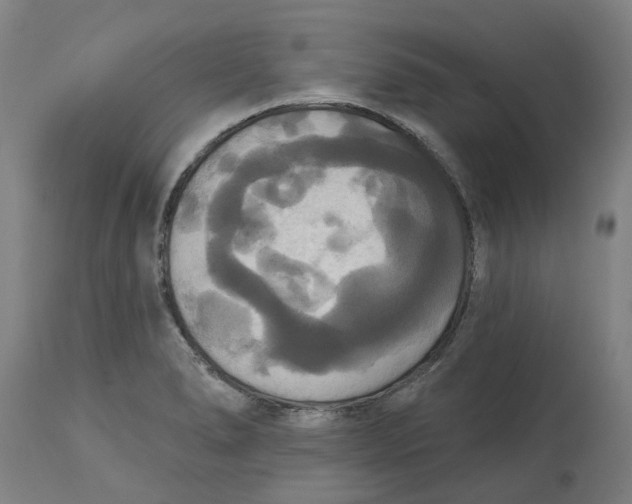 X0000114721278200911121725