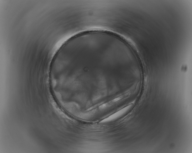 X0000114721279200911121725