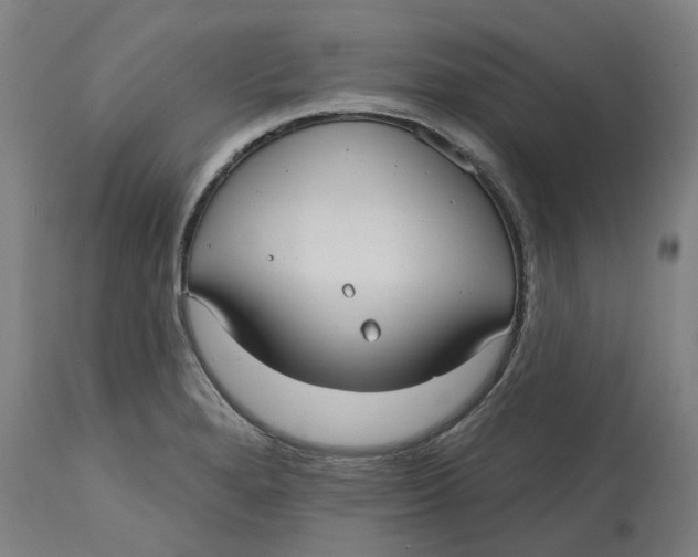 X0000114721280200911121725