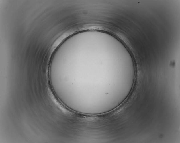 X0000114721282200911121725