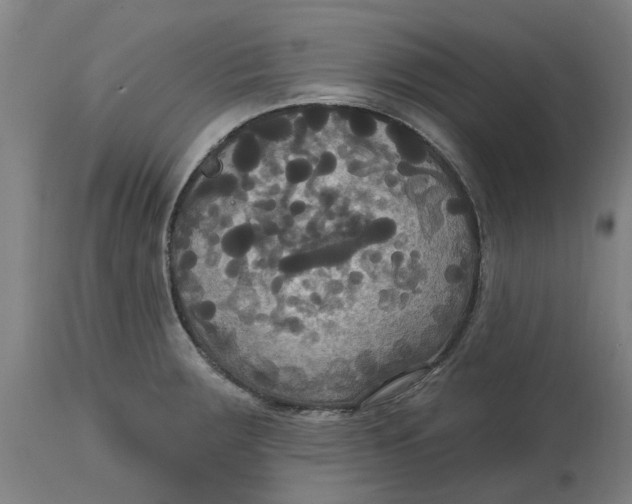 X0000114721283200911121724