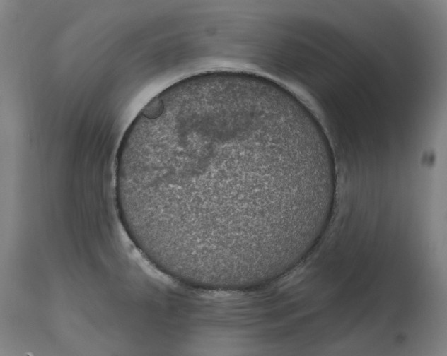 X0000114721287200911121724