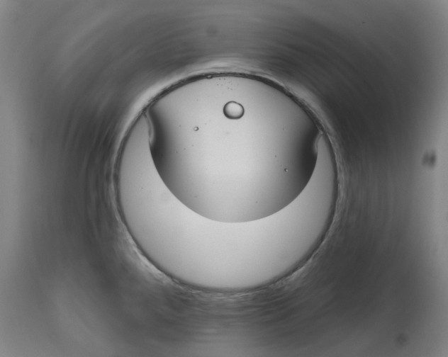 X0000114721288200911121724