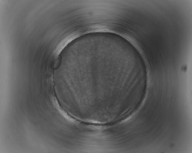 X0000114721289200911121724