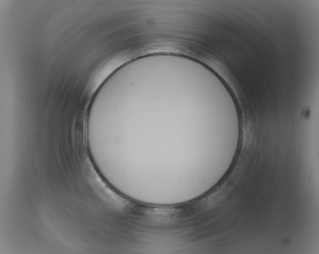 X0000114721290200911121724