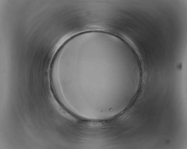 X0000114721291200911121724