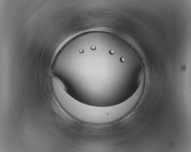 X0000114721292200911121724