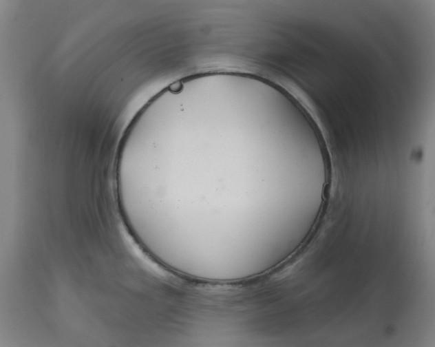 X0000114721293200911121724