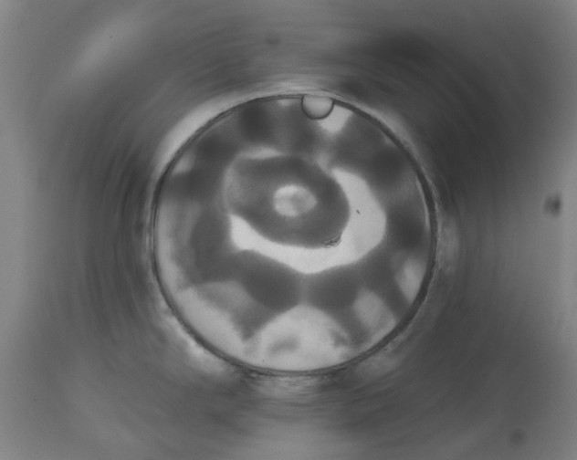 X0000114721294200911121724