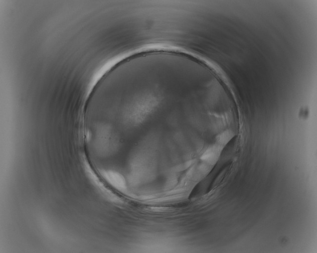 X0000114721295200911121724