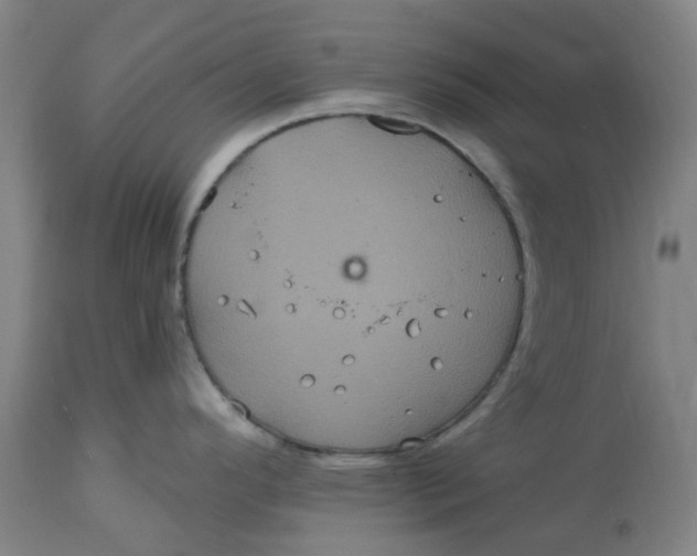 X0000114721296200911121724