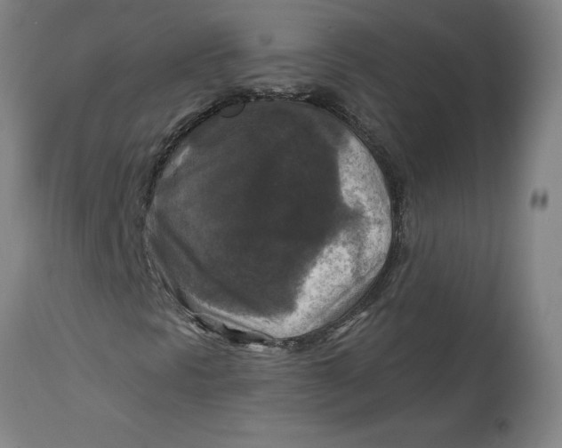 X0000114721297200911121724