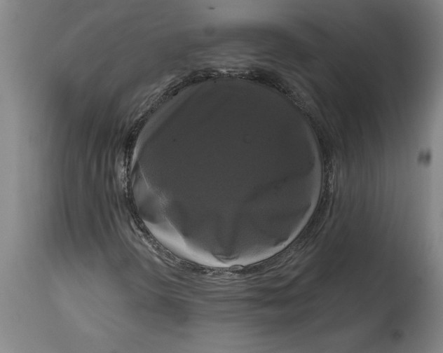 X0000114721298200911121724