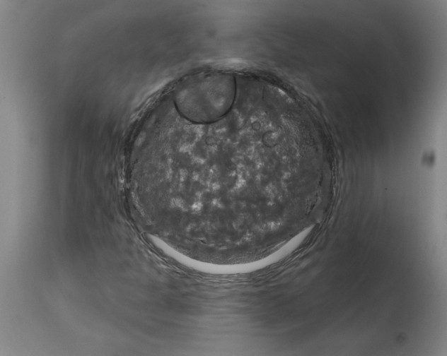 X0000114721301200911121724