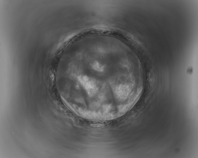 X0000114721302200911121724