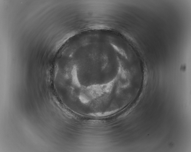 X0000114721305200911121724