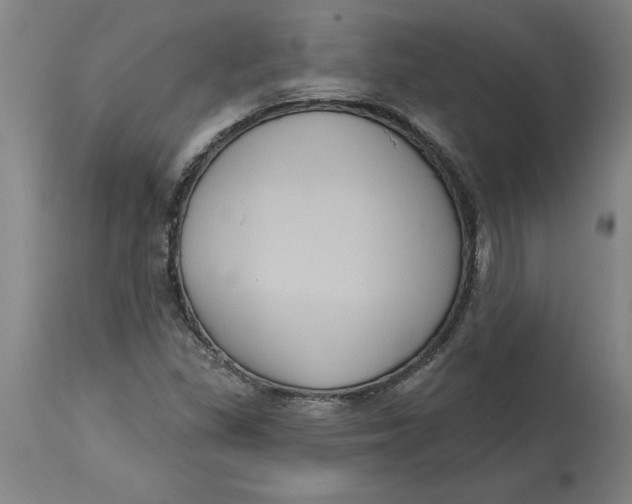 X0000114721309200911121724