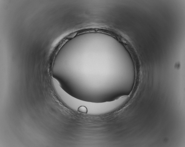 X0000114721310200911121724