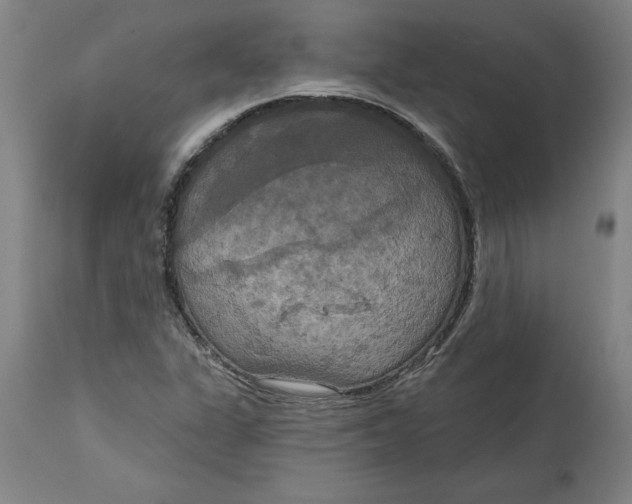 X0000114721311200911121724