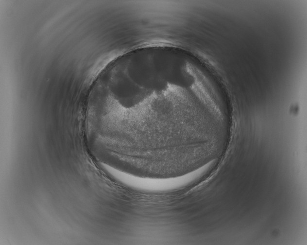 X0000114721313200911121724