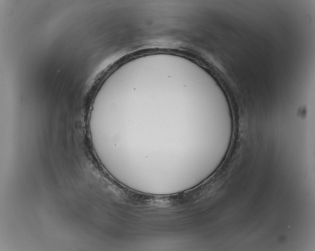 X0000114721315200911121724